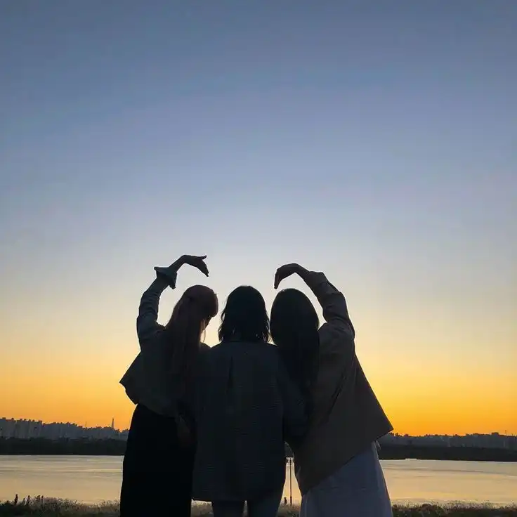 friendship dp